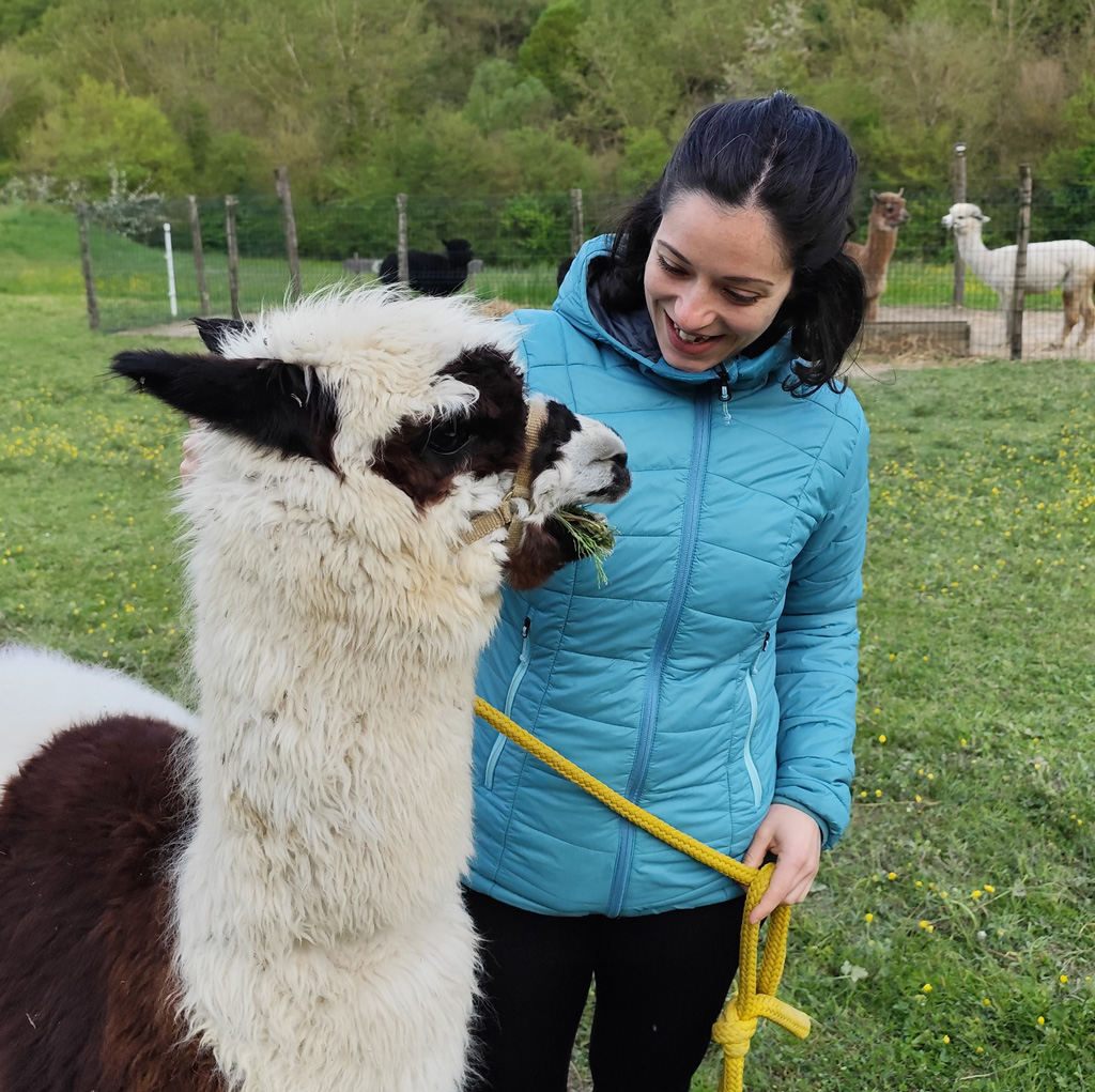 Imperdibile Passeggiata con Alpaca a Reggio Emilia: Guida Completa all'Esperienza 2025 6 Eliana fa amicizia con Nemo, l'alpaca che porteremo a passeggio sull'appennino reggiano