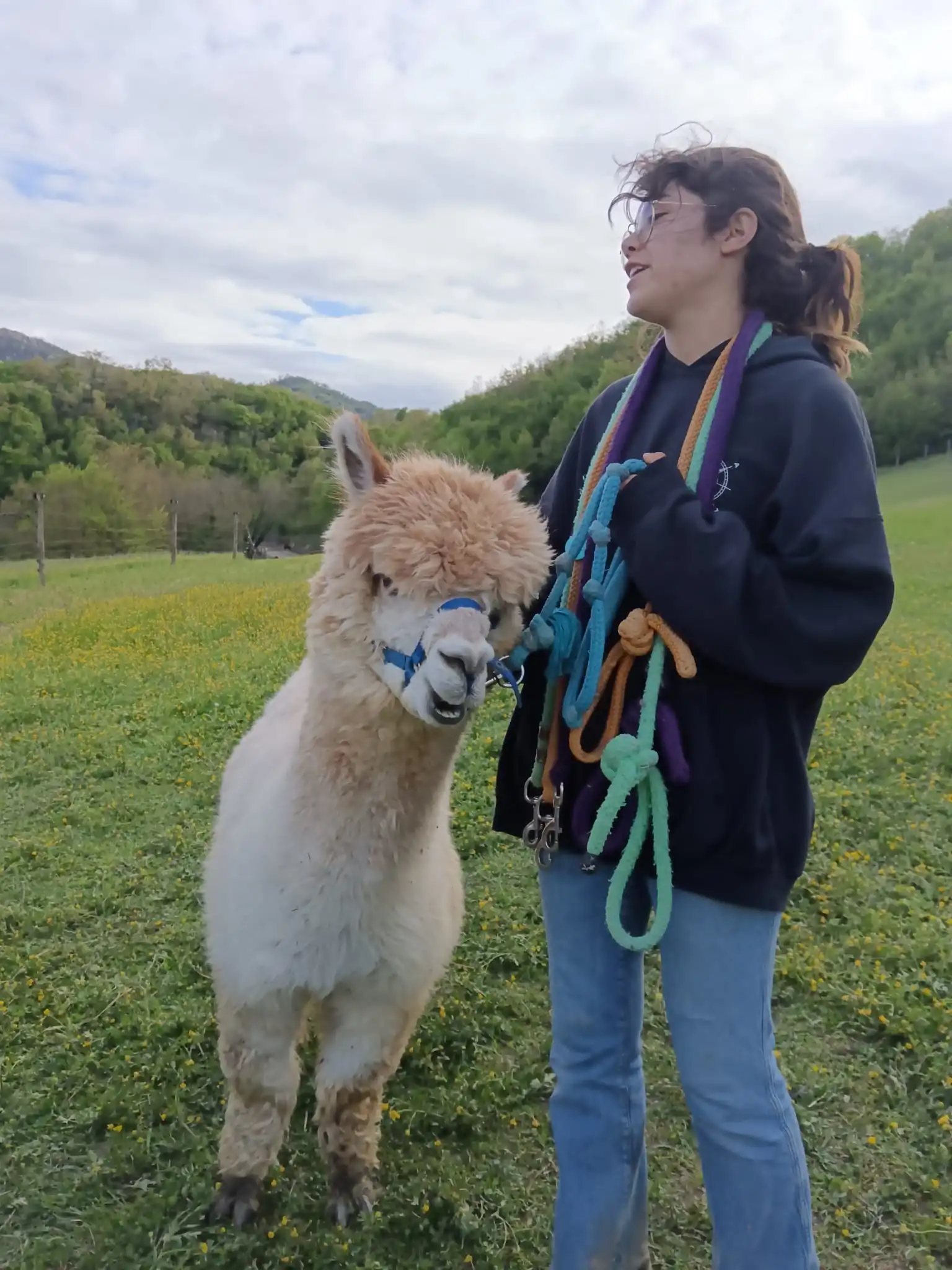 Camminata con alpaca Reggio Emilia: un’esperienza autentica nella natura