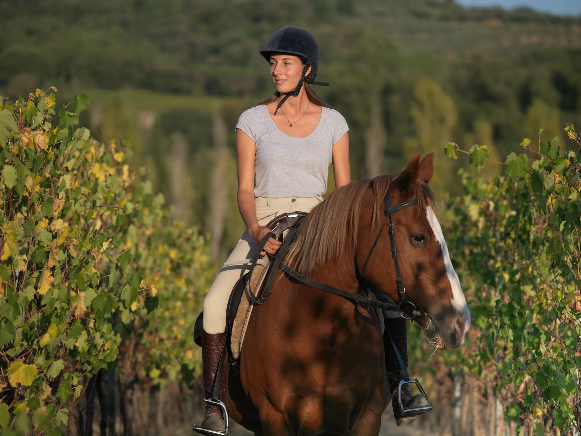 Passeggiata a cavallo a Siena