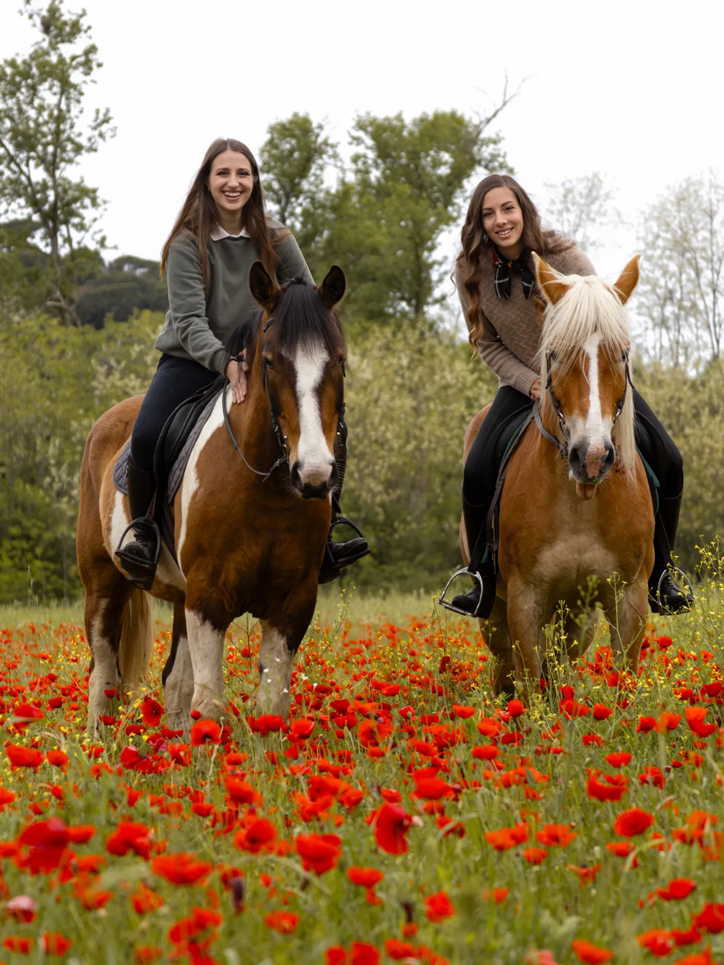 Passeggiata a cavallo a Siena