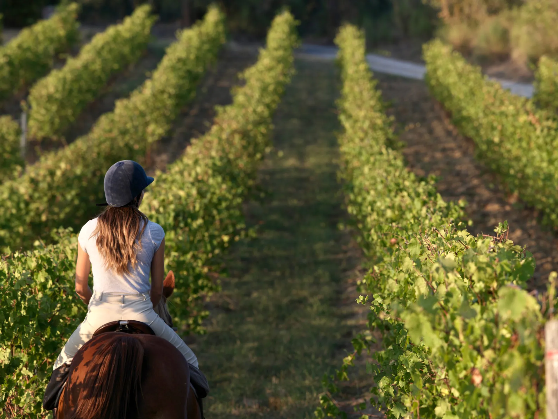 Passeggiata a cavallo a Siena