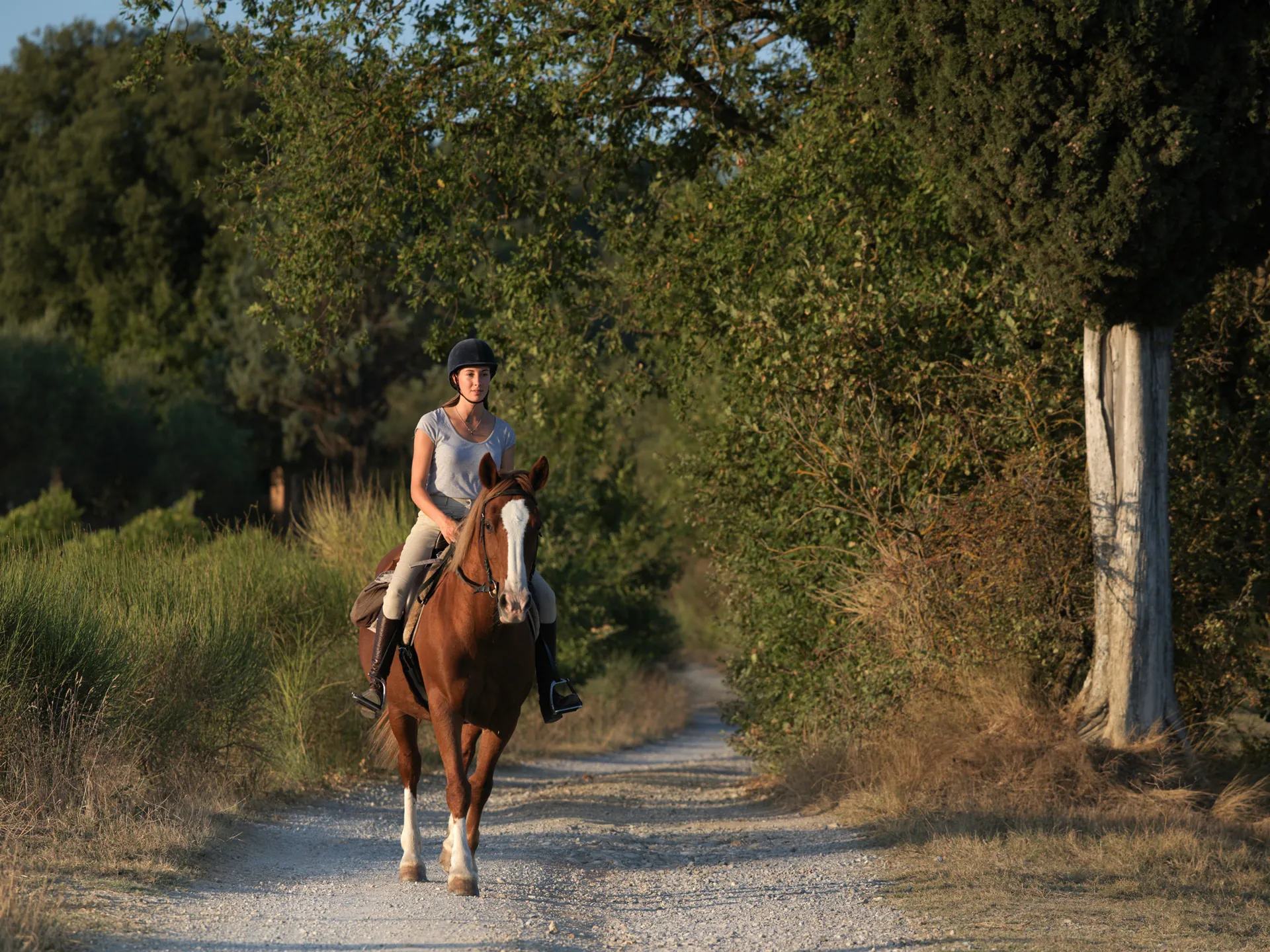 Passeggiata a cavallo a Siena
