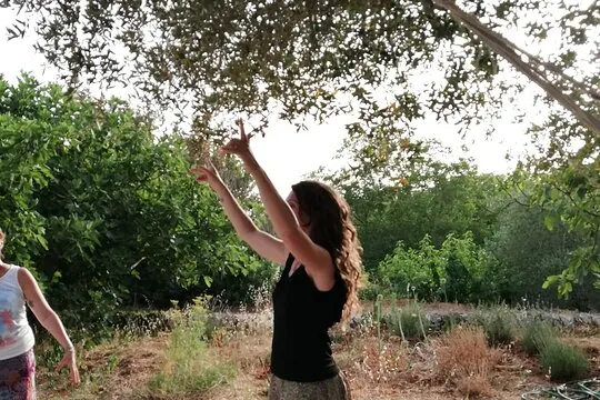 Corso di Pizzica e Taranta in Puglia: Danza Tradizionale tra gli Ulivi Secolari